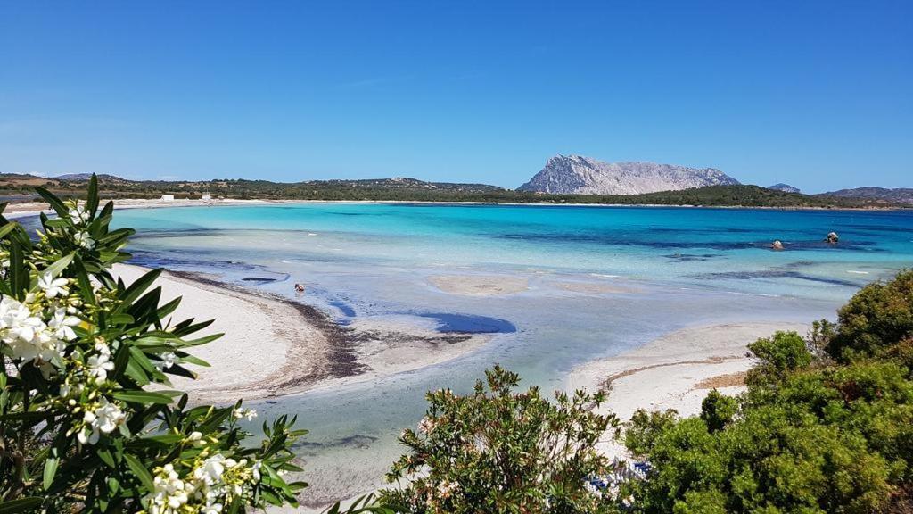 Casa Delfino Lägenhet Murta Maria Exteriör bild